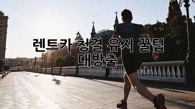 ✨ 렌트카 청결 유지 꿀팁 대방출! ✨